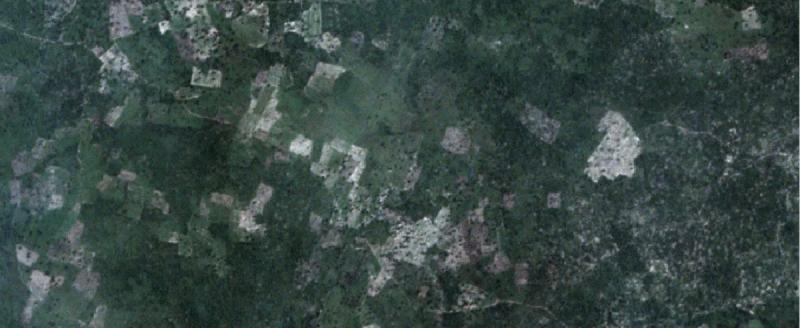 Fields in Northern Ghana