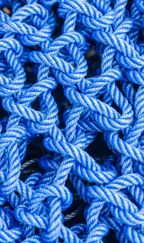 blue connected ropes