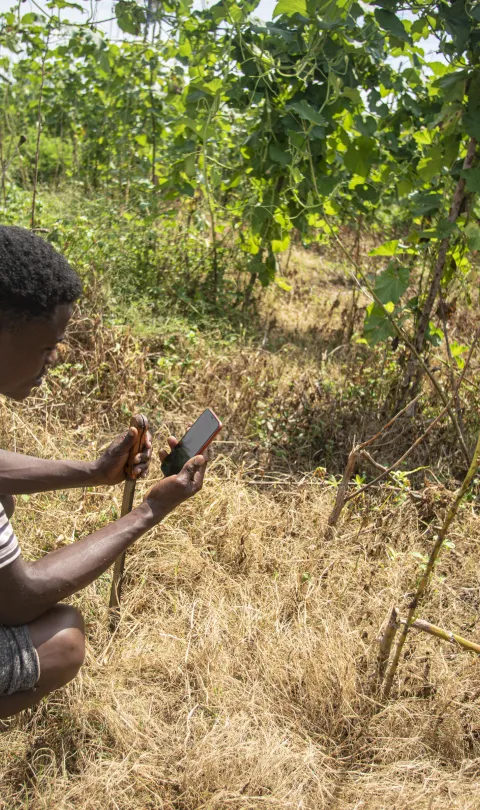 Farmer in Ghana participating in a remote survey on the agricultural impact of COVID-19. Photo credit: Jordi Perdigo, GPSDD