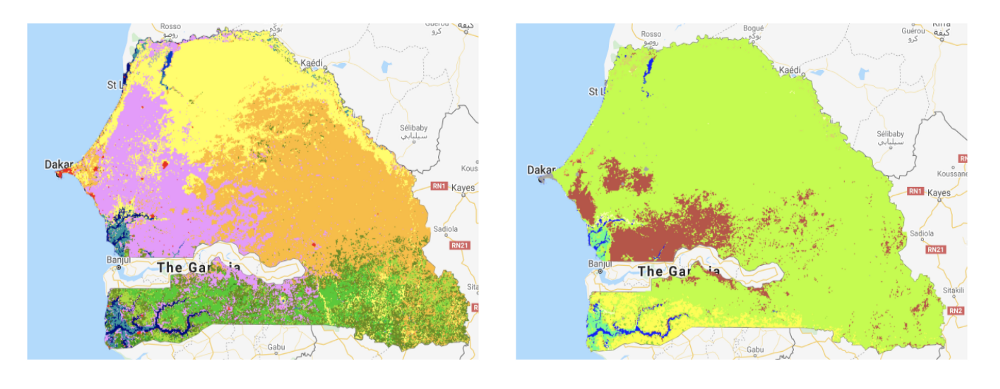 Copernicus land cover maps of Senegal