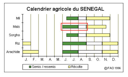 Crop calendar in Senegal (French)
