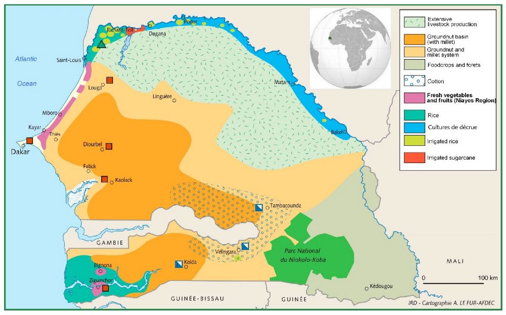 Cropland map of Senegal