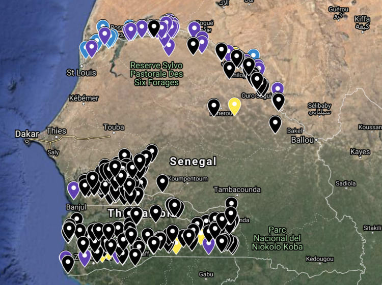 Cropland map of Senegal