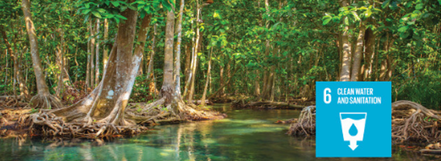 A project on use of EO to measure wetlands in Uganda will help monitor SDGs through the Ramsar convention. Credit: Group on Earth Observations.