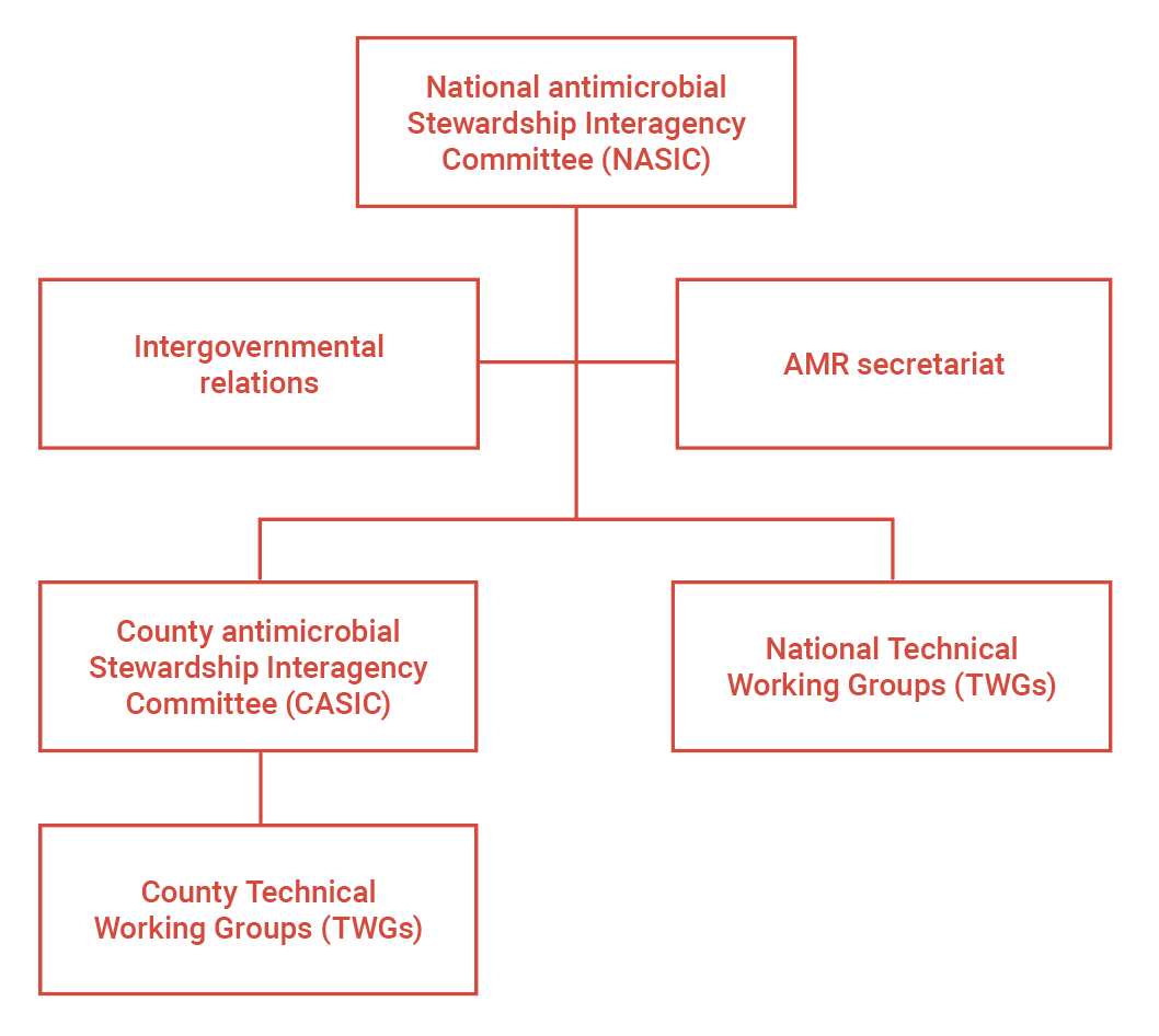 AMR leadership framework