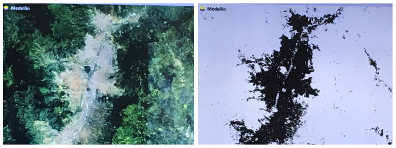 Figure 1. Automated mapping of urban areas presented by the European Space Agency. The image on the left is the source image (Landsat) and the image on the right is the result of the automated mapping process.