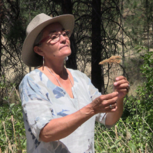 Person in hat, glasses and a shirt with flowers on it, holding a flower standing in front of trees.