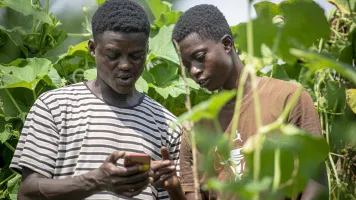 Two men in Ghana look at a cell phone in an agricultural setting.
