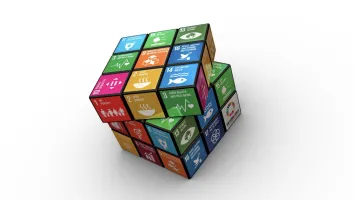 Rubicks cube with SDG icons