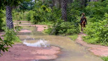 Roads flooded with water in the forests of the village of Oussouye, in the Casamance region, in southern Senegal