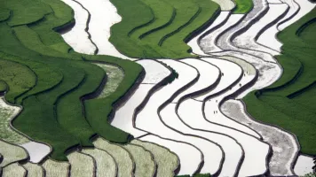 Terraced rice farming in Northern Vietnam. Credit: Van Nghiep Bui.