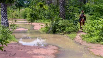 Roads flooded with water in the forests of Oussouye village in the Casamance region of Senegal, Credit: Xavier Llauger Dalmau / Shutterstock