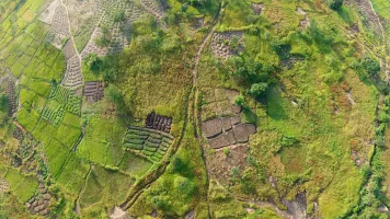 Farmland in Guinea, photo by Tim Oun / Unsplash