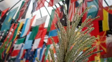 Grain displayed under national flags at FAO Headquarters in Rome.