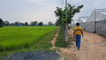 Farmer in Cambodia walking to the new vegetable greenhouses