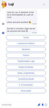 Screenshot from Luji - Water chatbot of Lujan de Cuyo