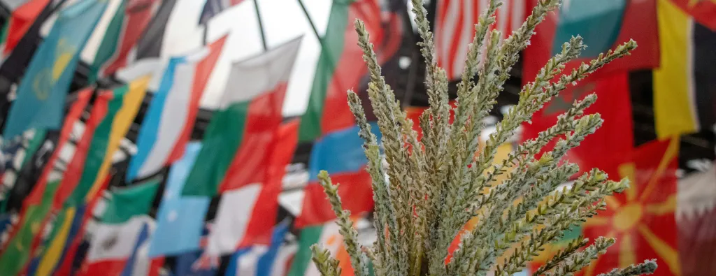 Grain displayed under national flags at FAO Headquarters in Rome. Matther Tenbruggencate/Unsplash