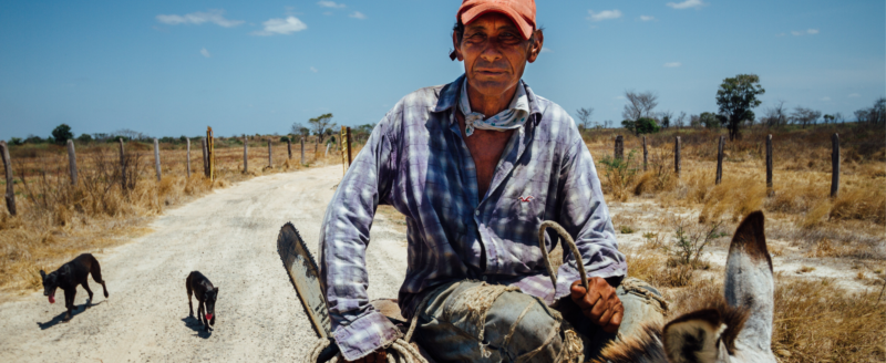 Farmer on Mule With Chainsaw, El Abra Colombia - Adam Cohn