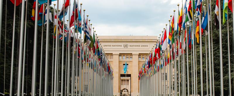 United Nations Mat Reding