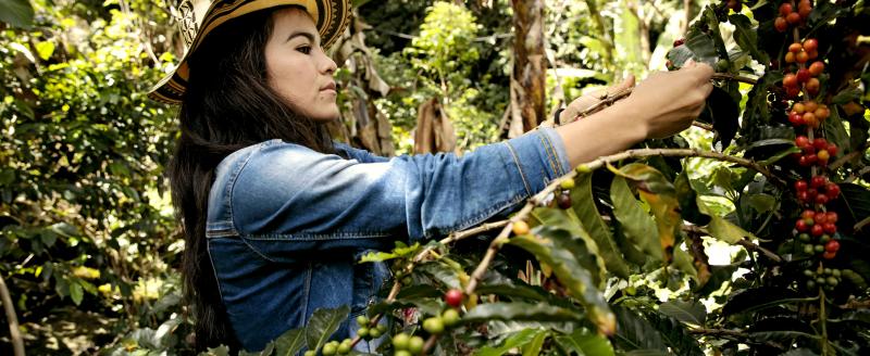 A coffee grower in the of Nariño region of Colombia. Credit: UN Women