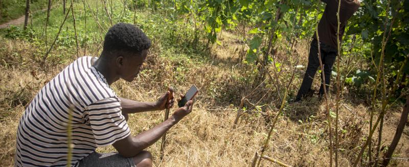 Farmer in Ghana participating in a remote survey on the agricultural impact of COVID-19. Photo credit: Jordi Perdigo, GPSDD