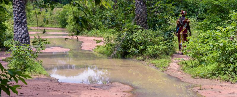 Roads flooded with water in the forests of the village of Oussouye, in the Casamance region, in southern Senegal