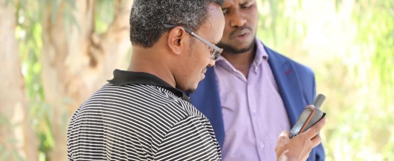 Two men standing in front of trees looking at mobile phones.
