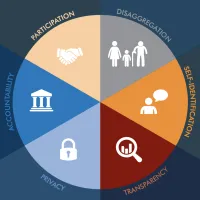 Pie chart graphic