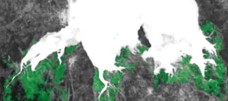 Earth observation of mangroves in Chwaka Bay