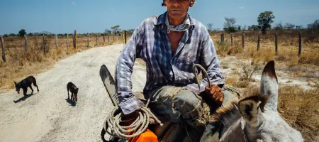 Farmer on Mule With Chainsaw, El Abra Colombia 