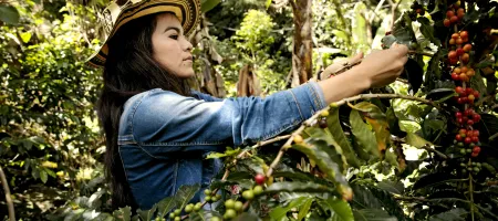 A coffee grower in the of Nariño region of Colombia. Credit: UN Women 