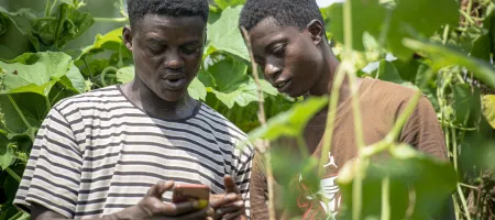Two men in Ghana look at a cell phone in an agricultural setting.