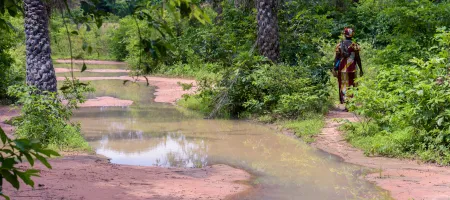 Roads flooded with water in the forests of the village of Oussouye, in the Casamance region, in southern Senegal