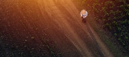 Farmer in sugar beet crop field