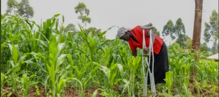 Woman looking after crops