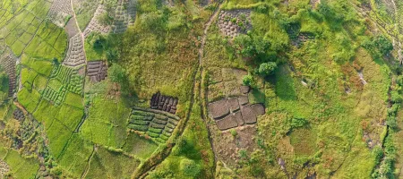 Farmland in Guinea, photo by Tim Oun / Unsplash