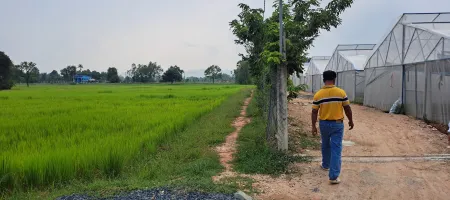 Farmer in Cambodia walking to the new vegetable greenhouses