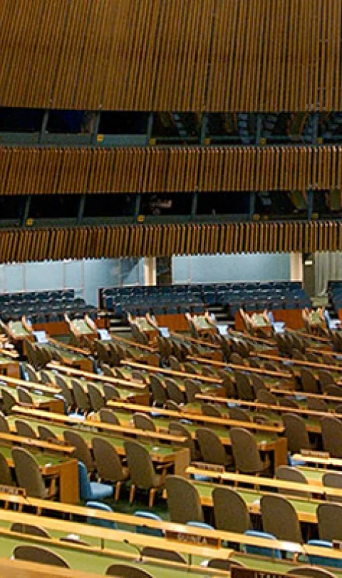 UN General Assembly