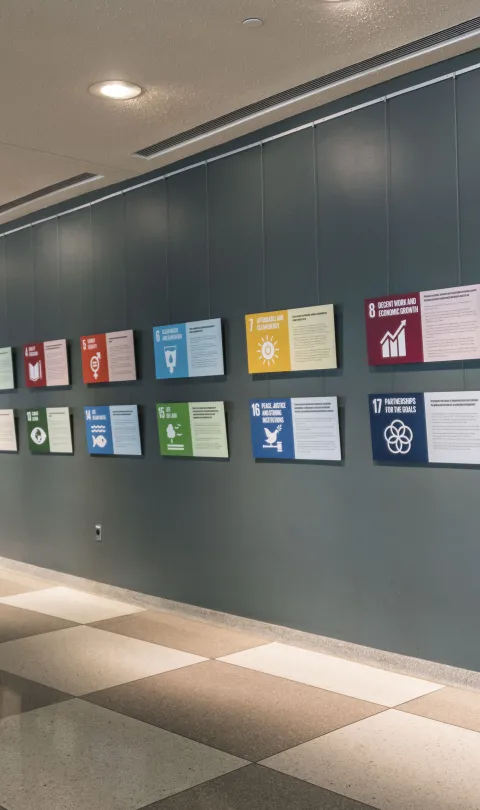 Photo: UNDP / Freya Morales