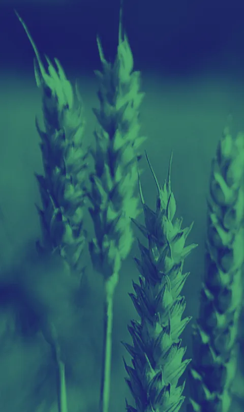 data to end hunger