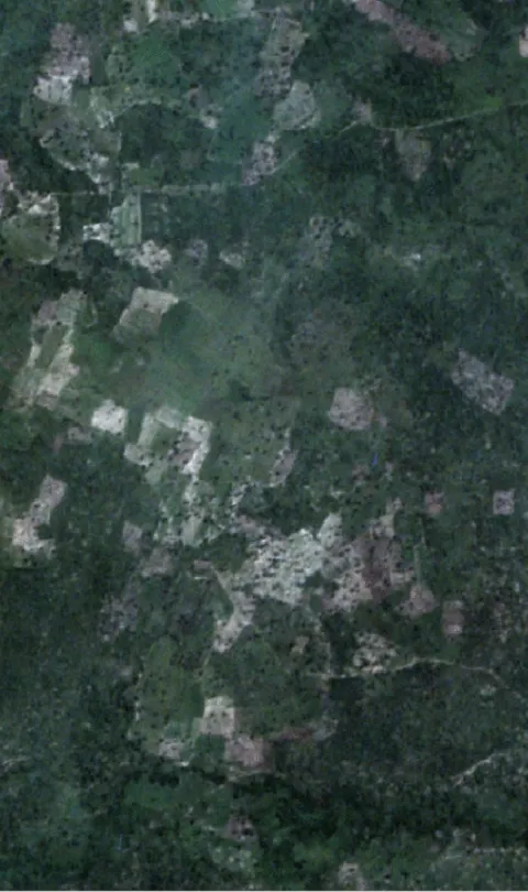 Fields in Northern Ghana