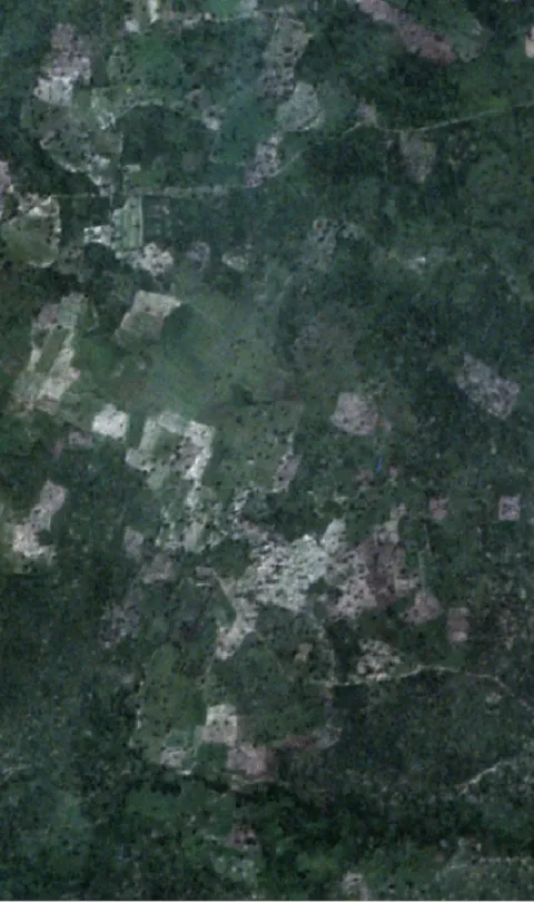 Fields in Northern Ghana