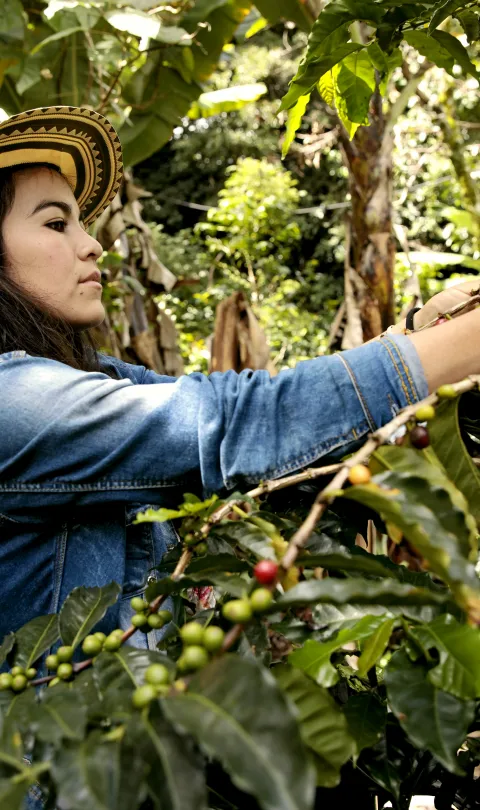 A coffee grower in the of Nariño region of Colombia. Credit: UN Women 
