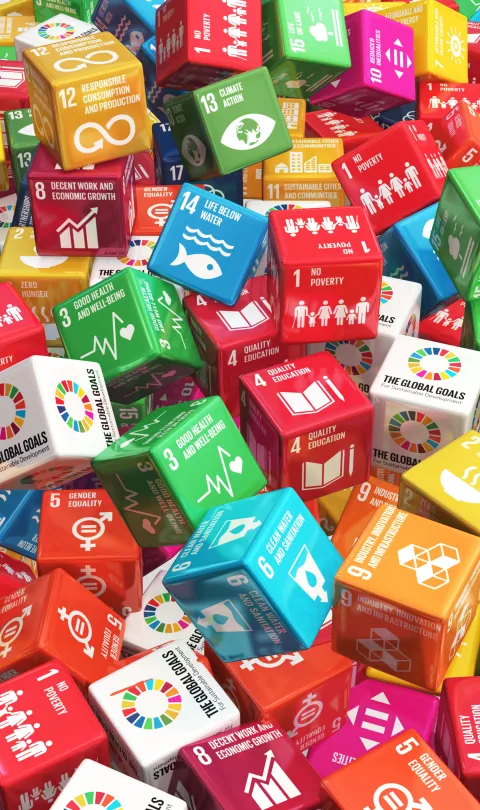SDGs. Credit: Shutterstock