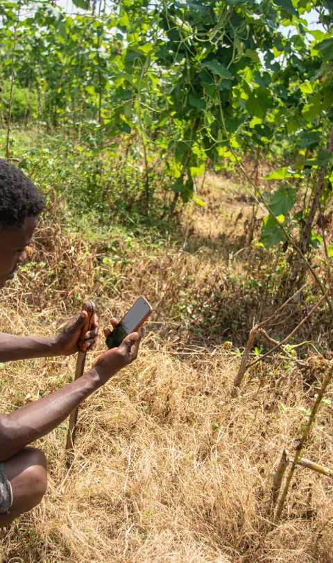 Two men working in a field, one holding a phone.