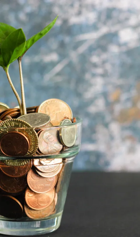 Glass of coins with a sprouting plant growing out of it