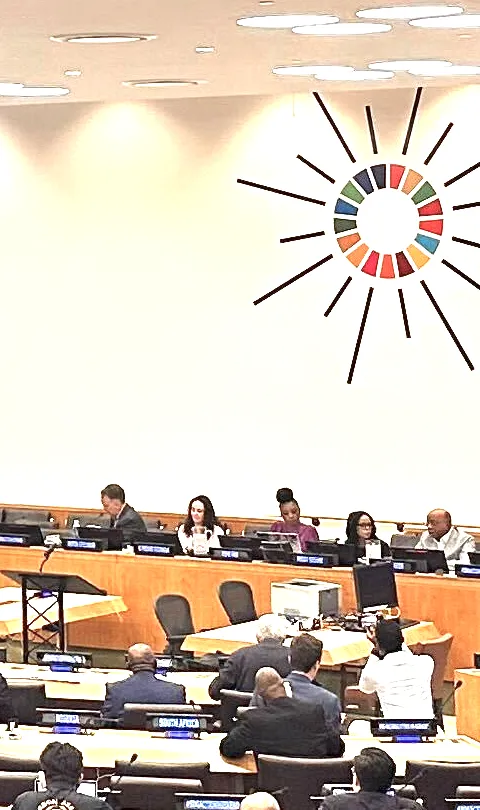 High Impact Initiative Power of Data event at UN HQ