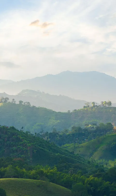 A landscape photo of the mountains and coffee growing area in Colombia