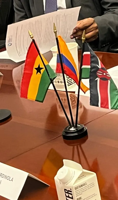 Flags of participating countries