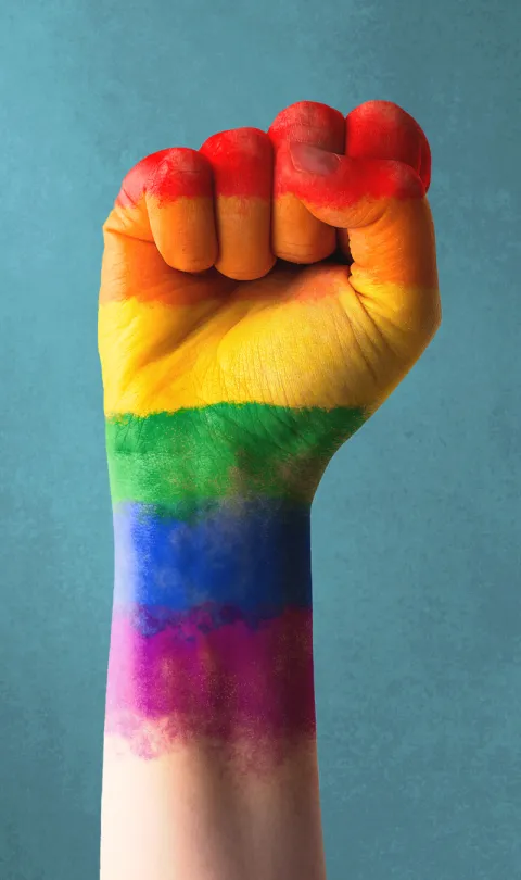 LGBT fist